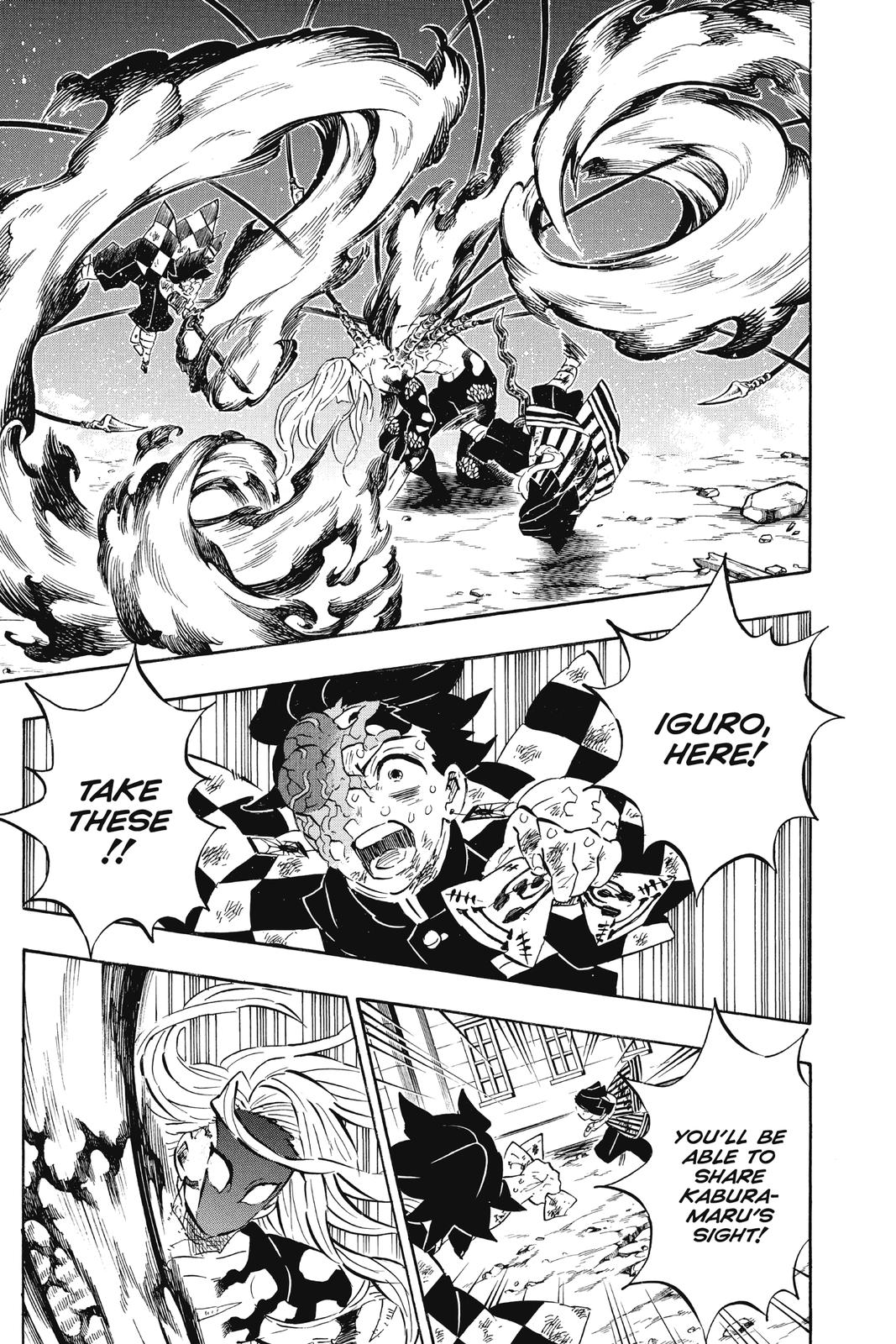 Demon Slayer: Kimetsu no Yaiba Chapter 195 Page 13