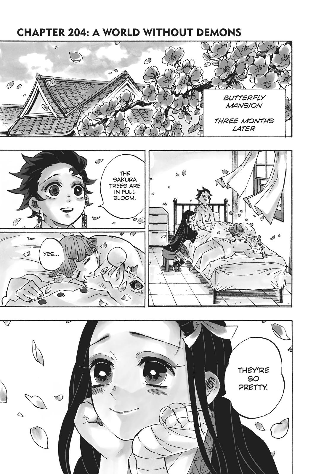Demon Slayer: Kimetsu no Yaiba Chapter 204 Page 1