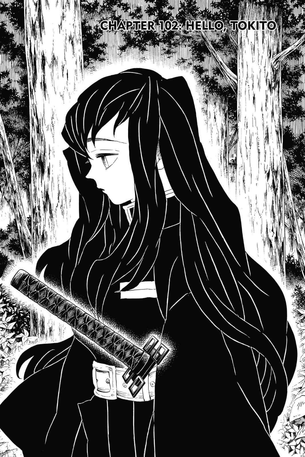 Demon Slayer: Kimetsu no Yaiba Chapter 102 Page 1
